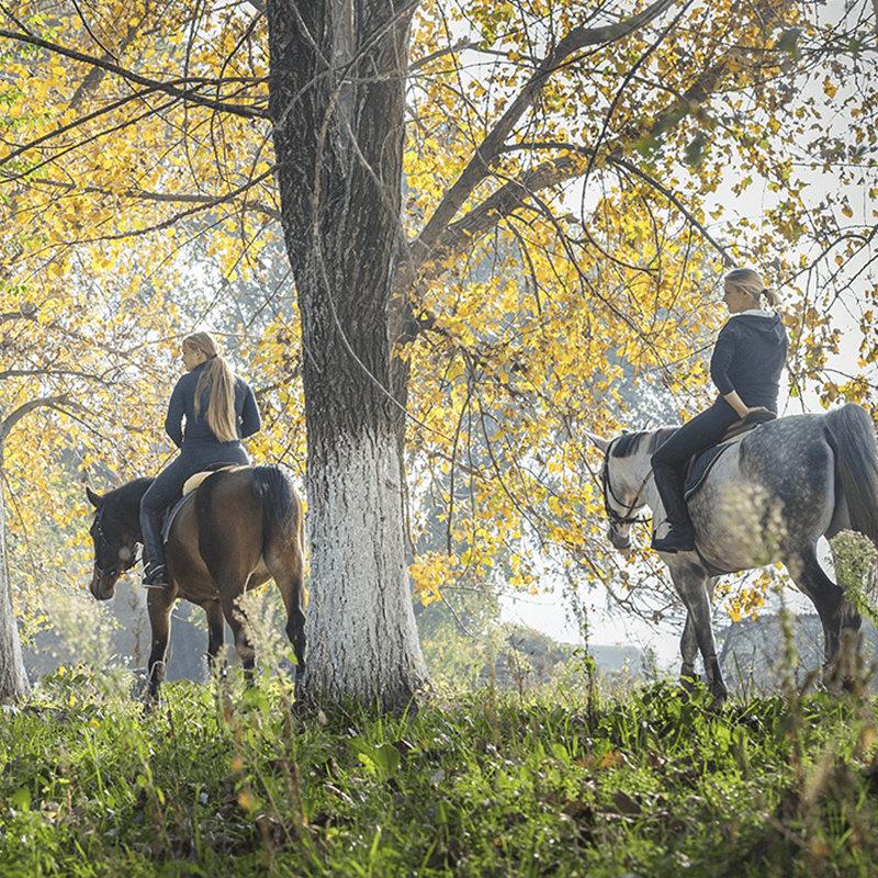 Torciano Hotel - Soggiorno in Toscana, passeggiata a cavallo e degustazione (x 1 persona) - Buono Regalo